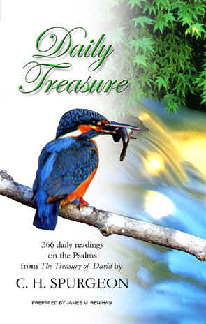 Daily Treasure