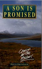 Son is Promised, A